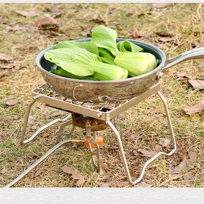 Multi-Purpose Stainless Steel Folding Mini Campfire Grill Gas Stove with Grid Design and Ignition Device